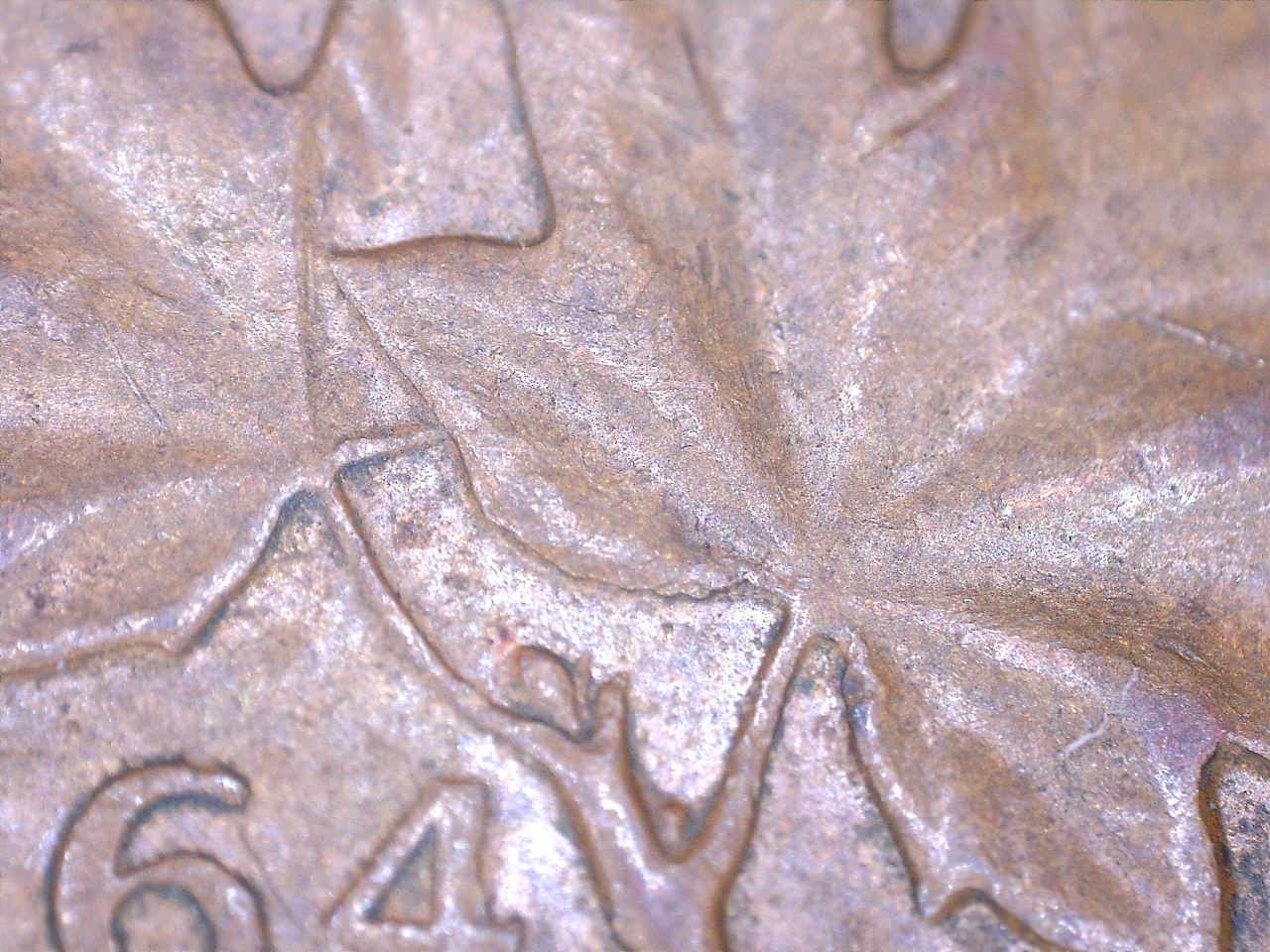 1964 épine 4.jpg