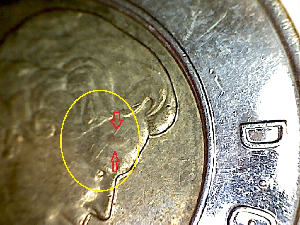 2013 Marque sur le front B22111C.jpg