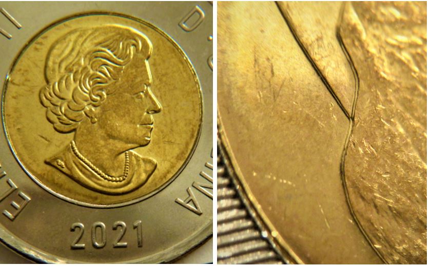 2 Dollar 2021- Double dos de l'ours et la montagne aussi-Coin décale-1.JPG