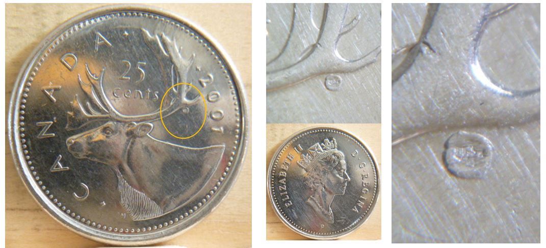 25 Cents 2001 - Éclat coin revers (coquelicot) près de élan.JPG