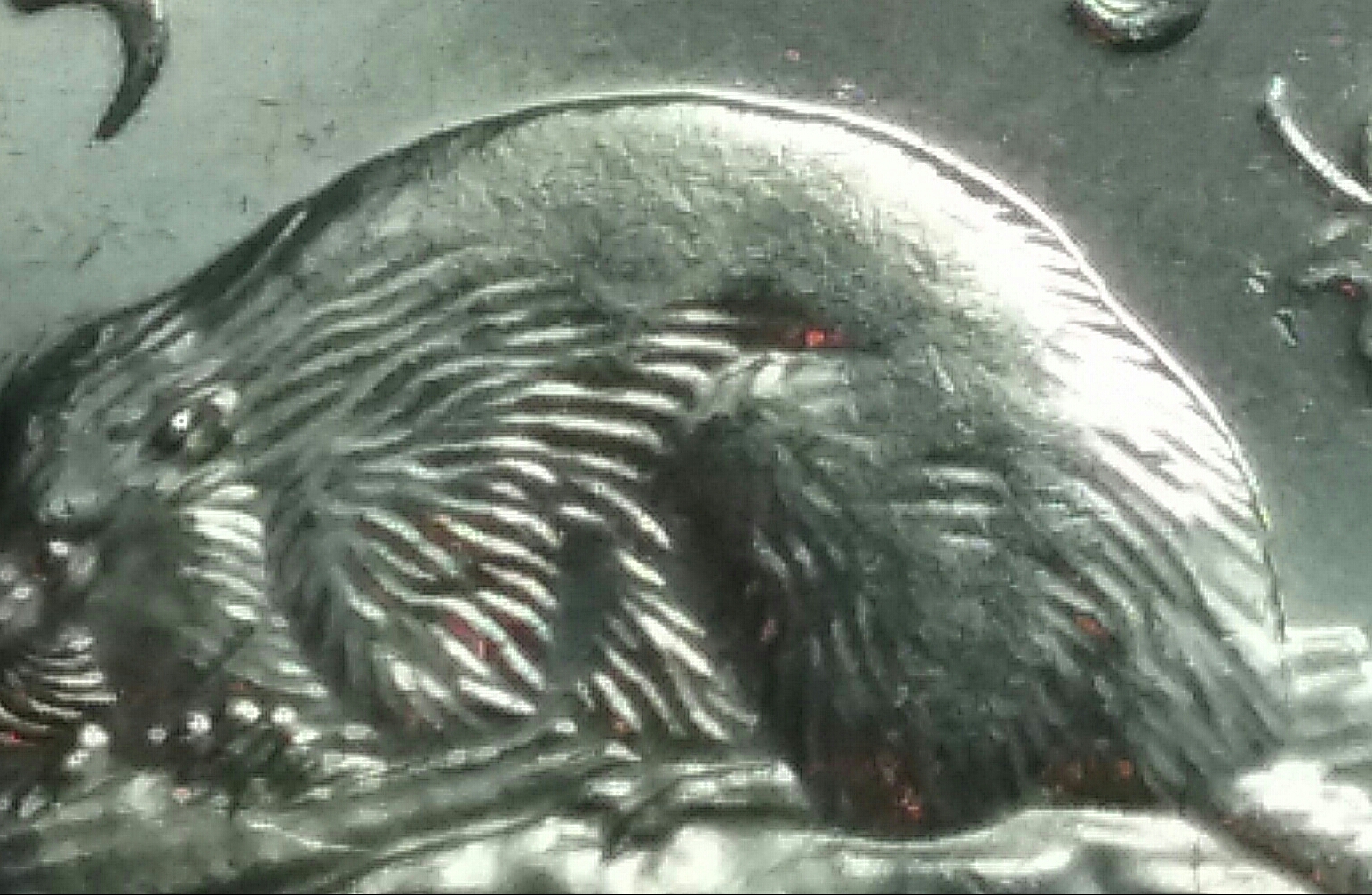20170409_201927.jpg
