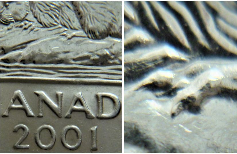 5 Cents 2001-Éclat coin sur la patte arrière-5.JPG