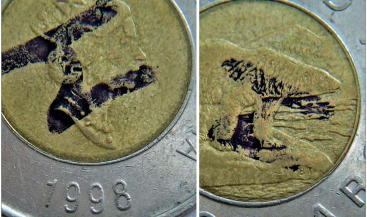 2 Dollar 1998-Éclat du coin devant la bouche de l'ours-1.JPG