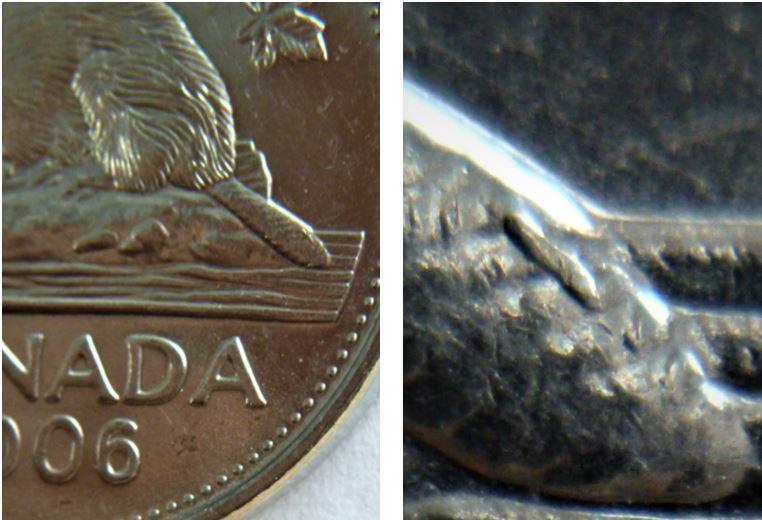 5 Cents 2006-Éclat coin sur la queue du castor-2.JPG