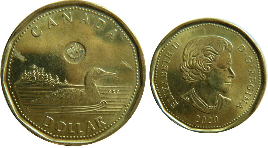 1 Dollar 2020-Éclat coin dans R de rRc-et dans l'arbre-1.JPG