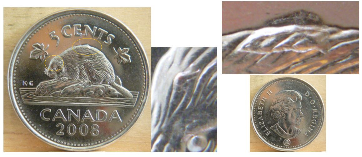 5 Cents 2008- Accumulation sur castor.JPG