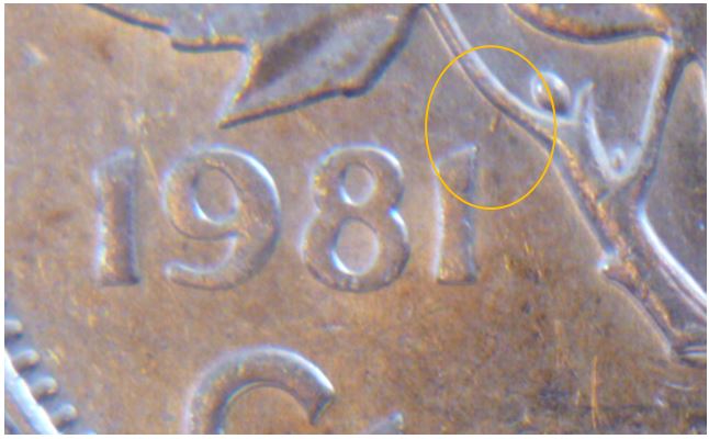 1 Cent 1981 - Éclat coin près de la tige-1.JPG