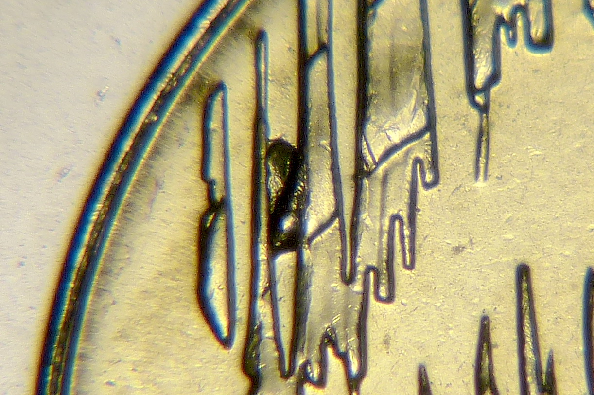 P1190347.JPG