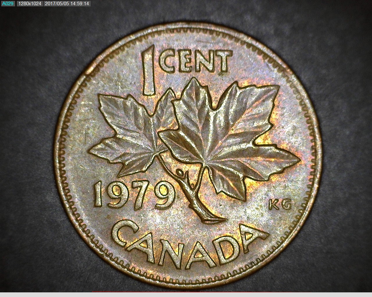 1979R.jpg