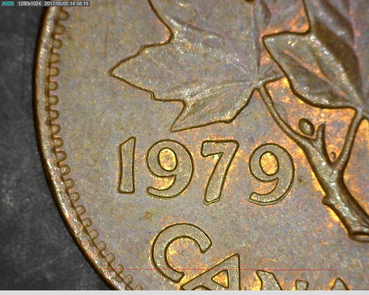 1979D.jpg