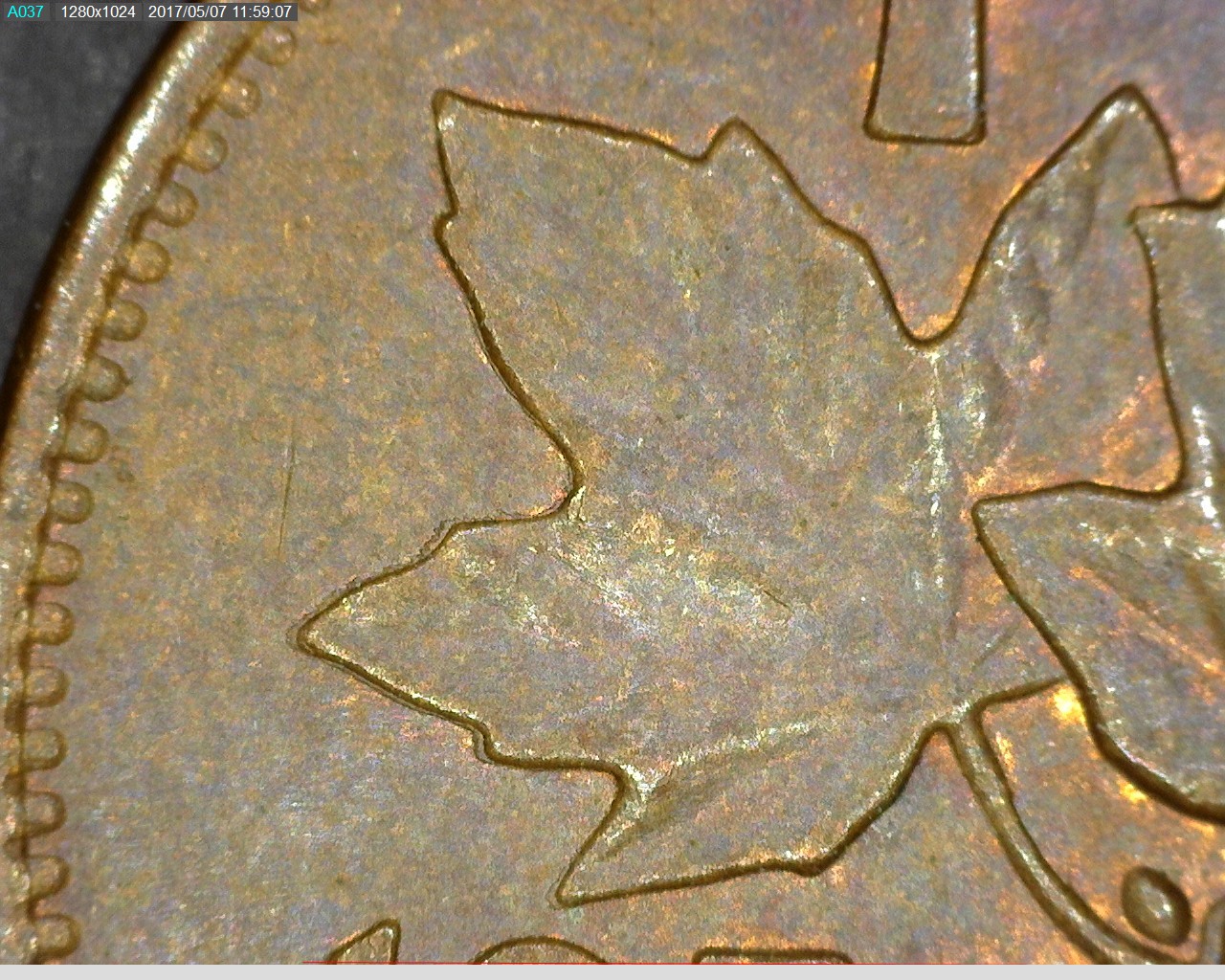 1979c.jpg