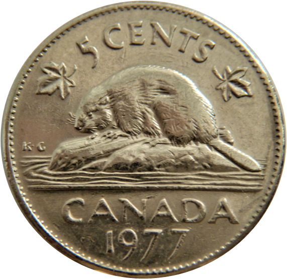 5 Cents 1977 H-Gros dommage du coin sous le castor-1.png