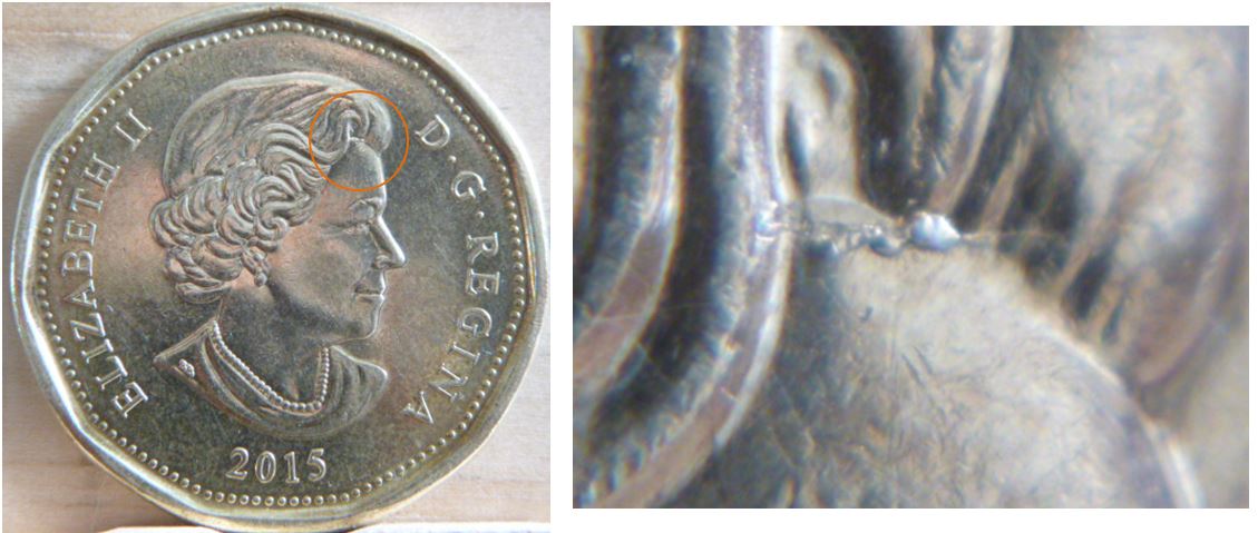1 Dollar - 2015-Éclat de coin sur front effigie.JPG