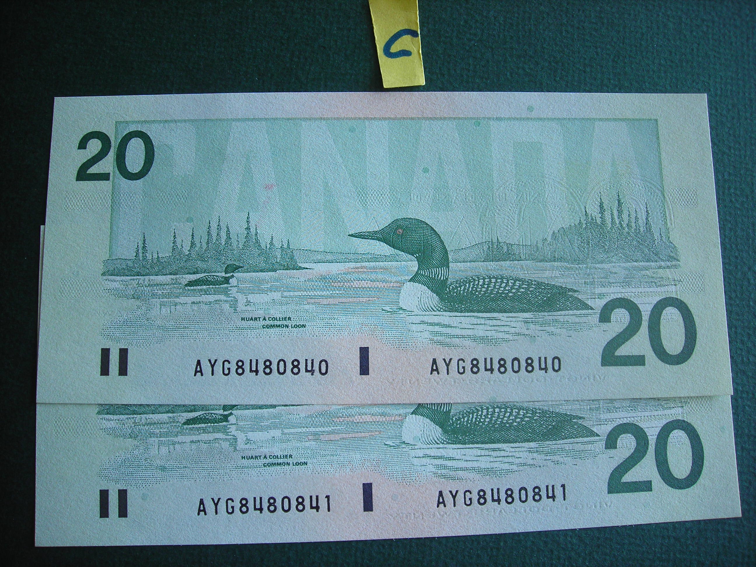 DSCN0070.JPG