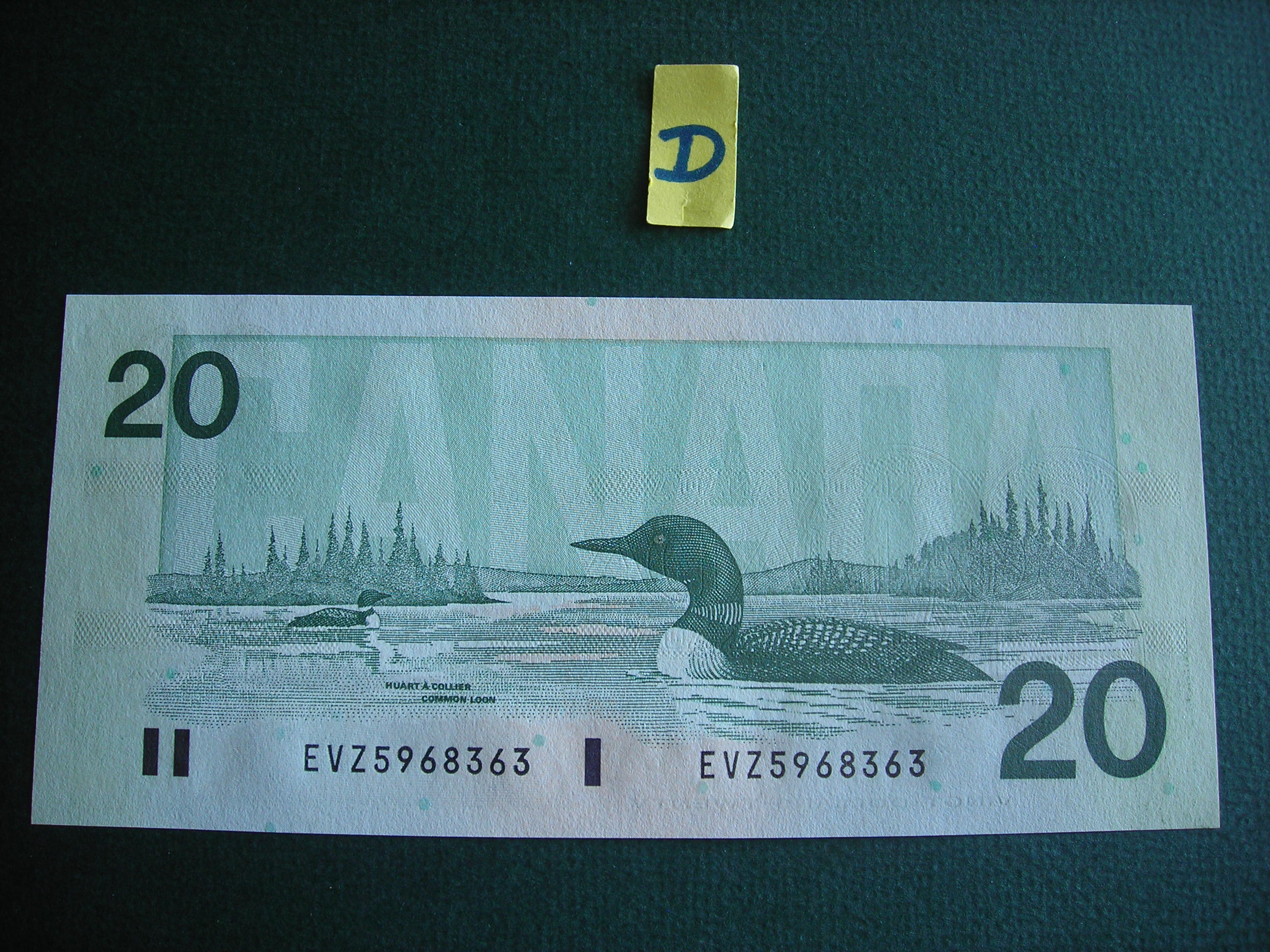 DSCN0072.JPG