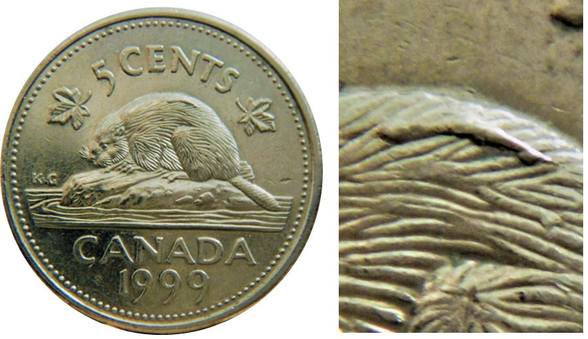 5 Cents 1999-Grosse bosse sur le dos du castor-3.,.JPG