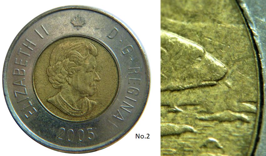2 Dollars 2005-Éclat du coin devant la bouche de l'ours-4.JPG