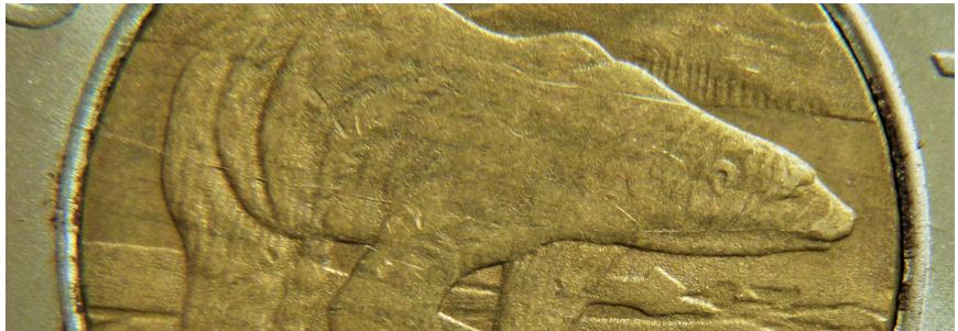 2 Dollars 2004-Coin fendillé sur le coté de l'ours-3.JPG
