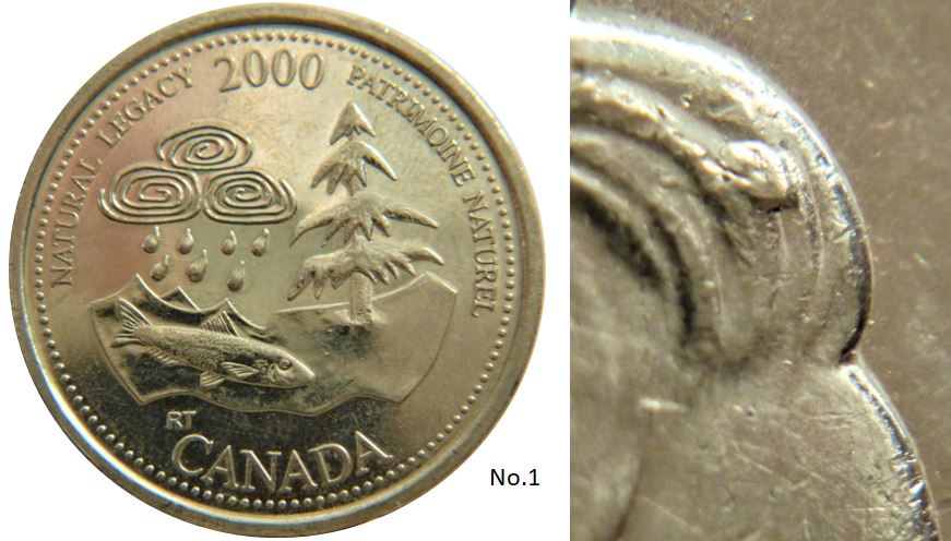 25 Cents 2000 Patrimoine Naturel-Éclat coin dans cheveux-1.JPG