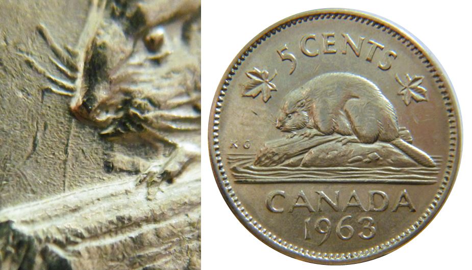 5 Cents 1963-Éclat coin à la bouche du Castor-il  à perdu une dent-1.JPG
