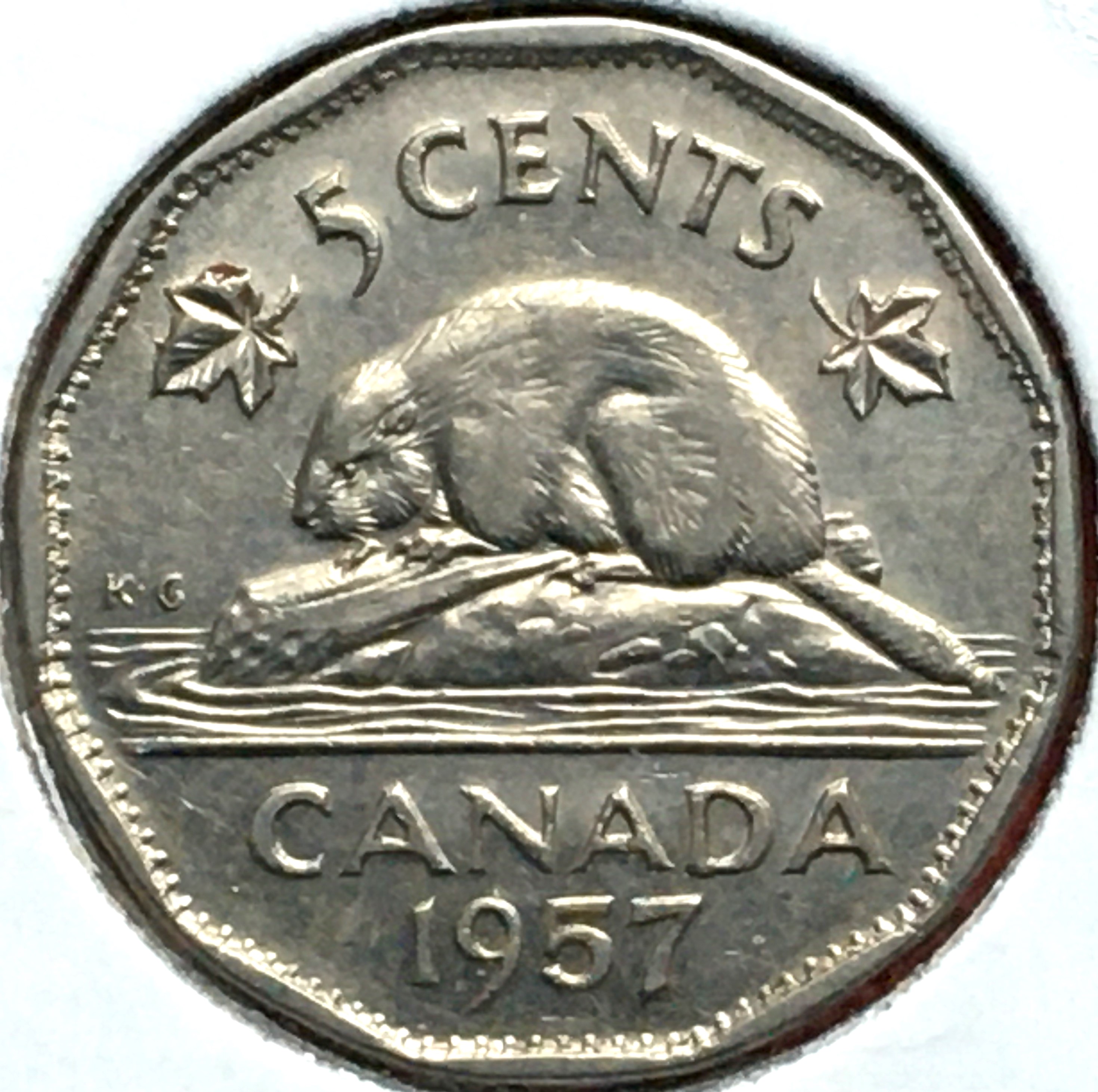 5 cents bugtail.JPG
