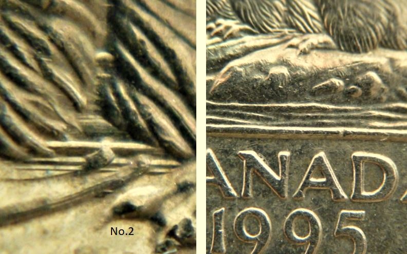5 Cents 1995-Dommage du coin sous abdomen du castor-No.2.JPG