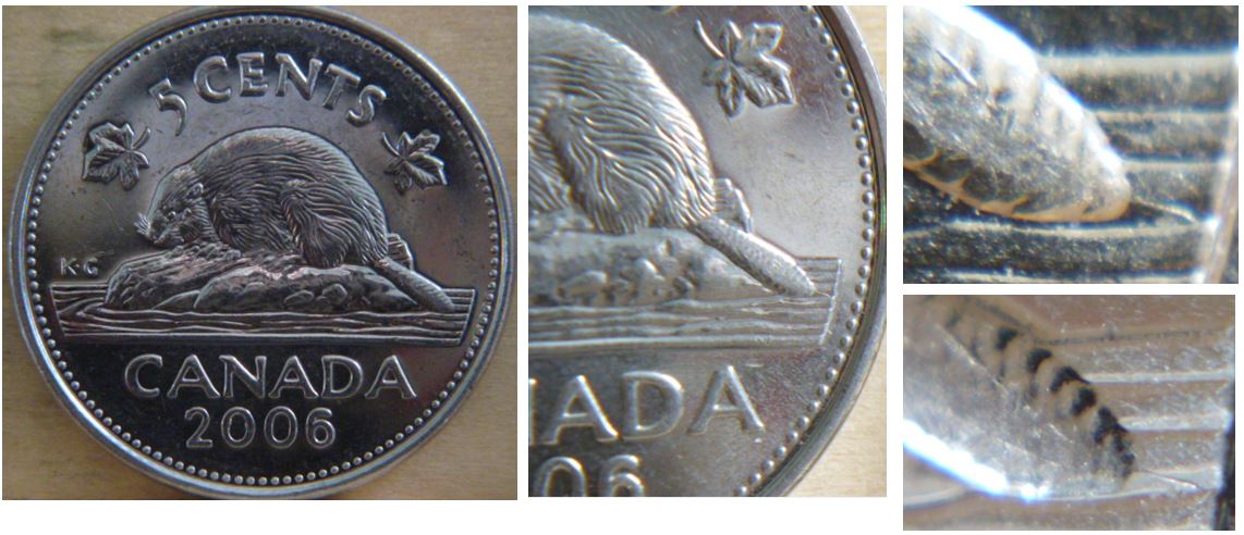 5 Cents 2006- Coin fendillé a la queue.JPG