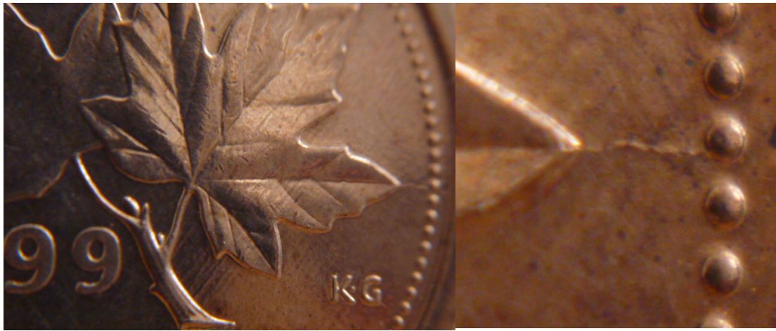 1 Cent 1999- Coin fendillé bout feuille droite.JPG
