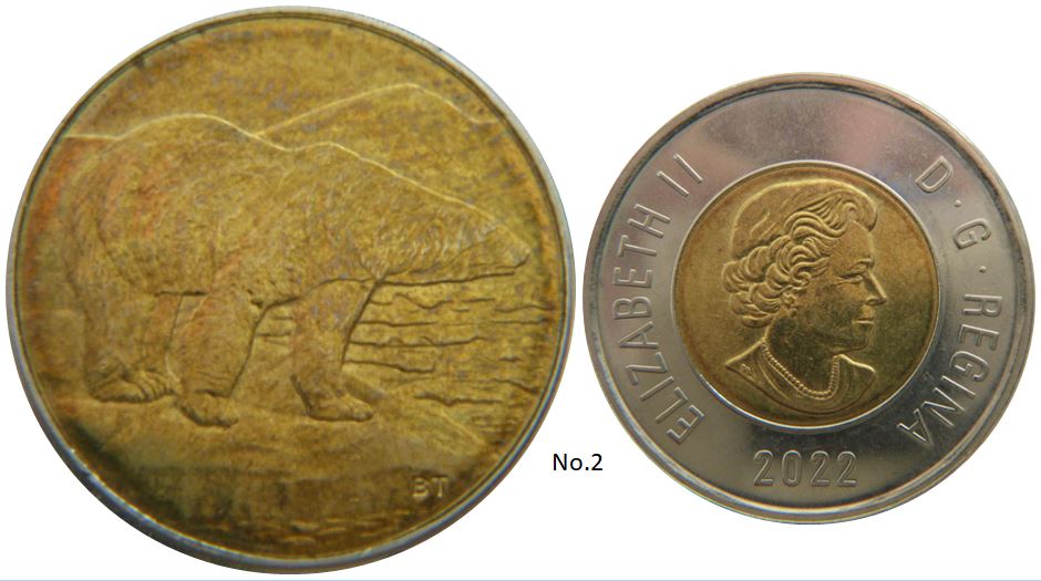2 Dollars 2022-Avec un museau et pas de museau-2.JPG