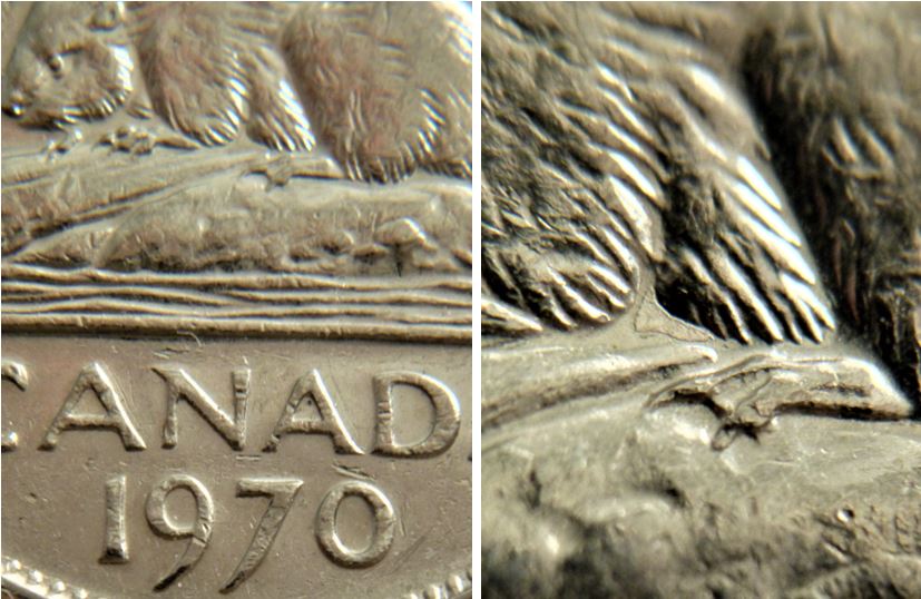 5 Cents 1970-Dépôt de métal sous l'abdomen du castor,1.JPG