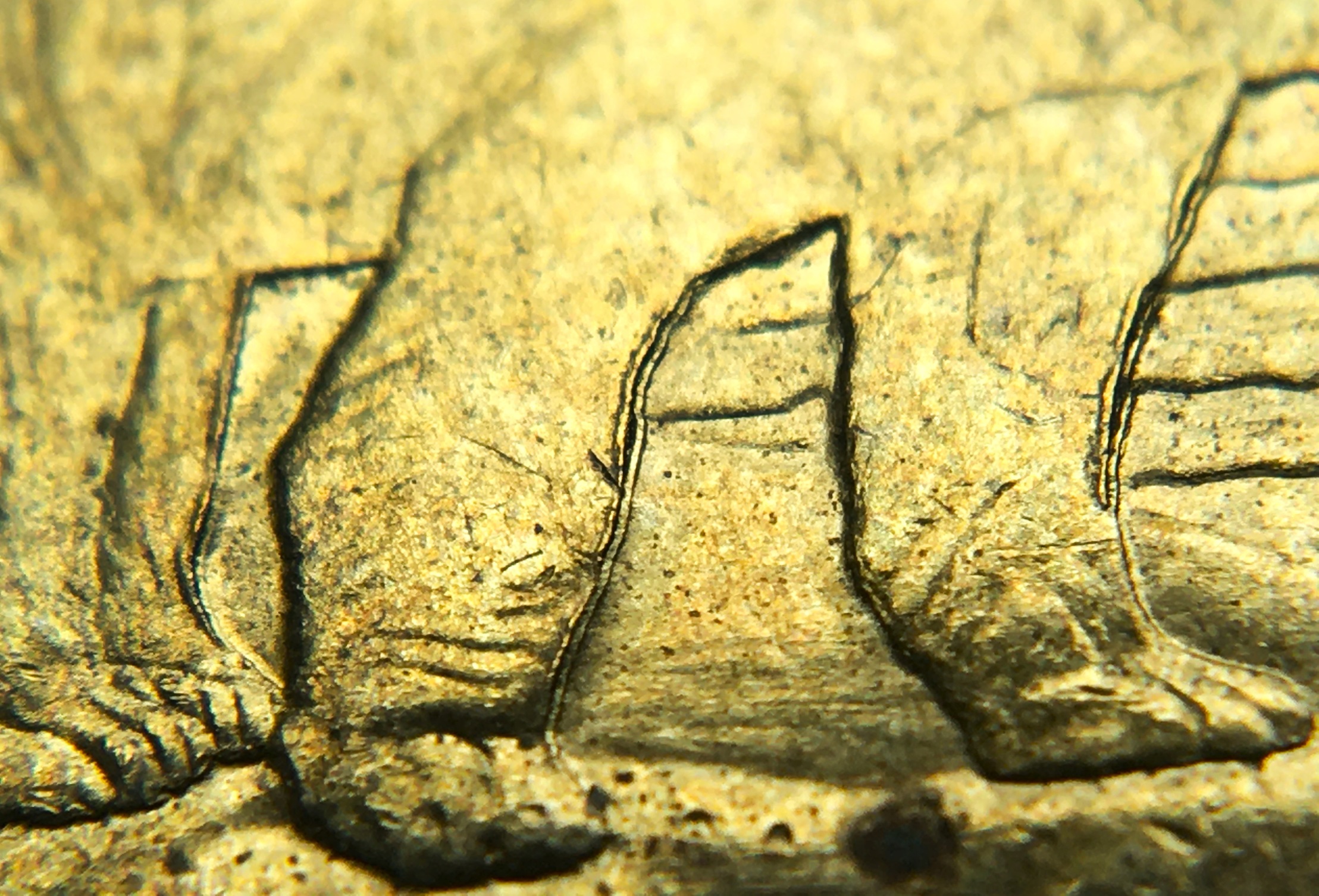 2 dollars 2021 plusieurs pattes.JPG