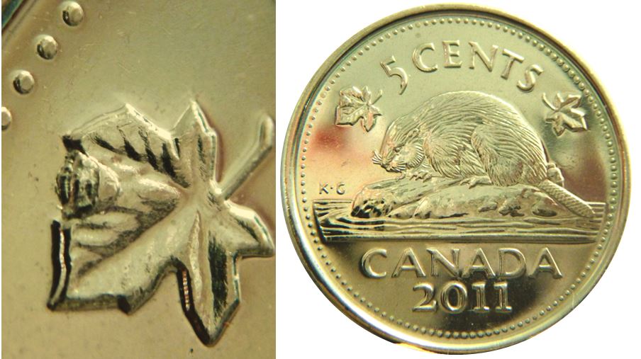 5 Cents 2011-Éclat coin grosse dans lobe feuille gauche-No.1.JPG