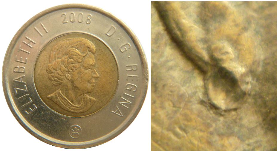2 Dollars 2008-Boucle d'oreille anormale-dégonflé-1.JPG