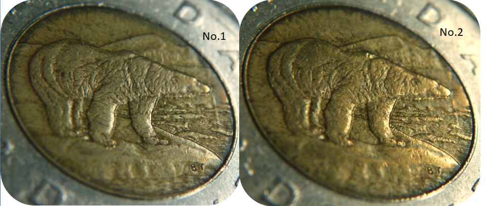 2 Dollars 1996- Quelque chose étrange devant l'ours-No.2,.JPG