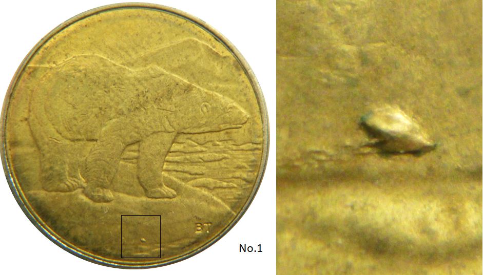 2 Dollars 2022-Éclat coin sous l'ours-No.1.JPG