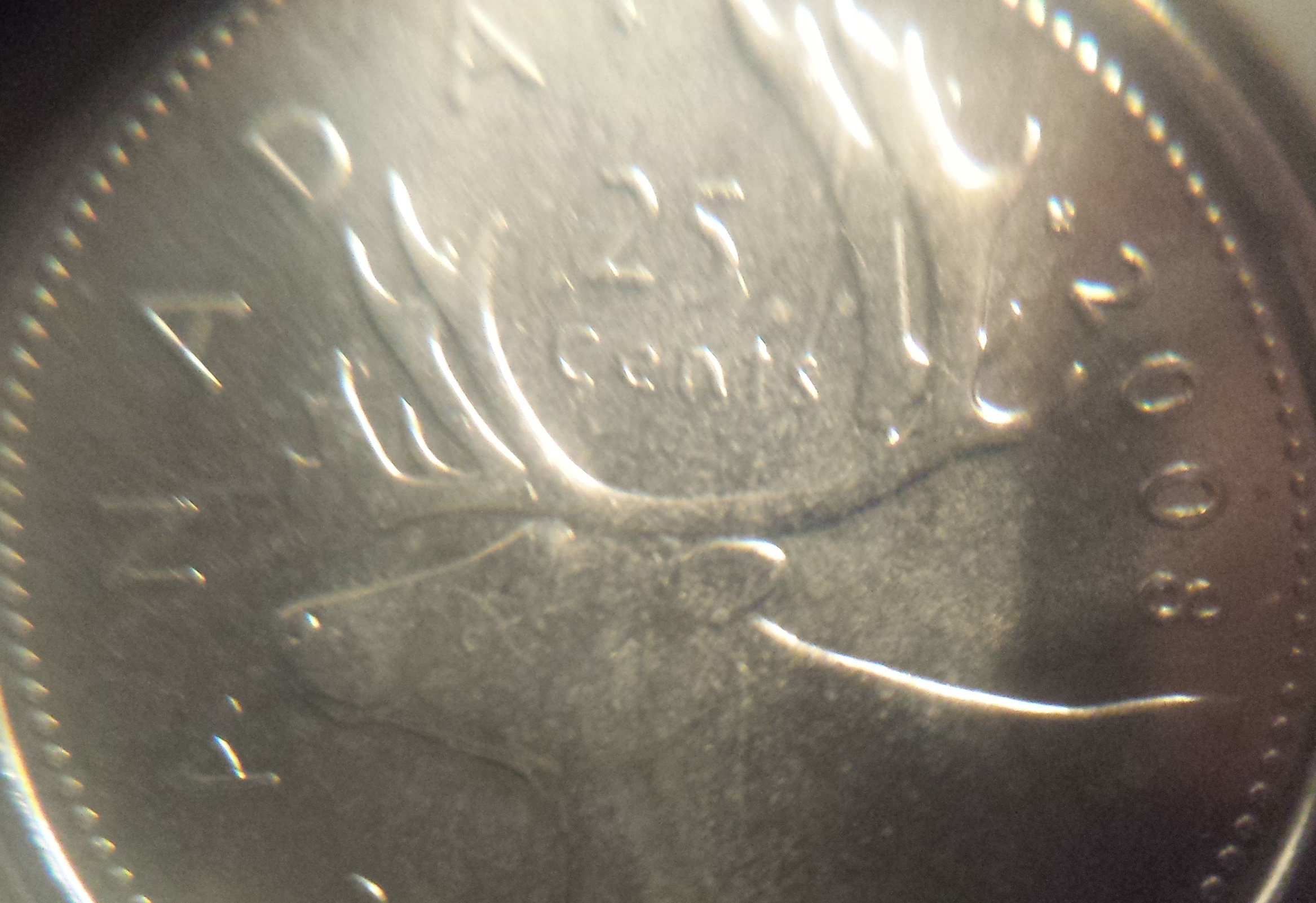 25c2008dcrev.jpg