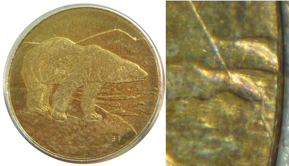 2 Dollars 1996-Coin fendillé à la bouche de l'ours,1.JPG