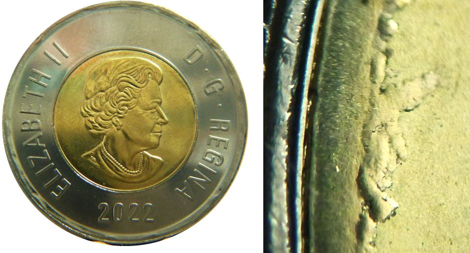 2 Dollars 2022-Défaut du flan au dessus de l'ours-1.JPG