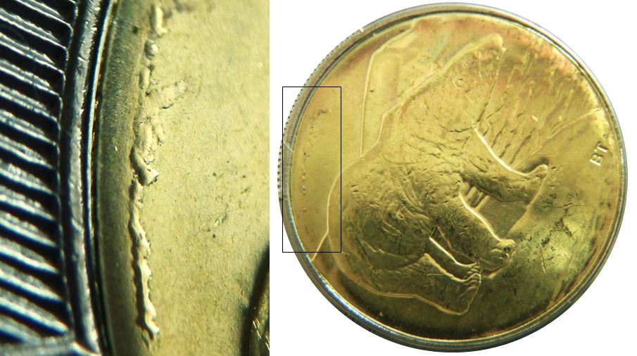 2 Dollars 2022-Défaut du flan au dessus de l'ours-2.JPG
