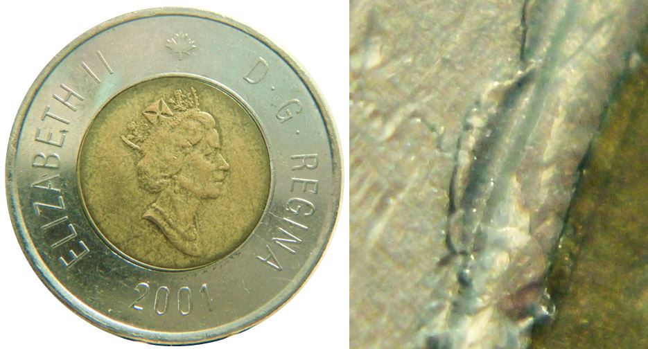 2 Dollars 2001-Plusieurs Baveurs coté revers-1.JPG