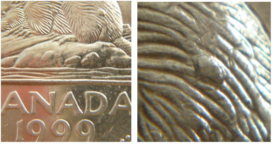 5 Cents 1999-Gros Éclat de coin sur fesse du castor.JPG