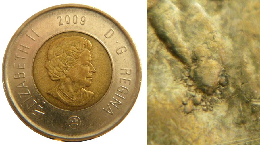 2 Dollars 2009-Nouvel boucle d'oreil -Accumulation-Défaut flan-1.JPG