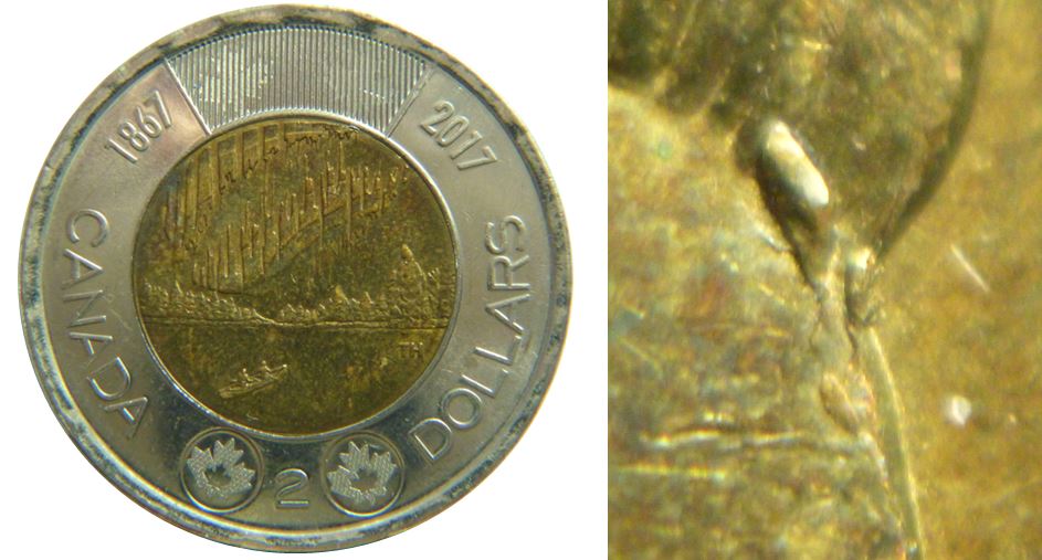 2 Dollars 2017-Éclat coin sur le front de effigie-1.JPG