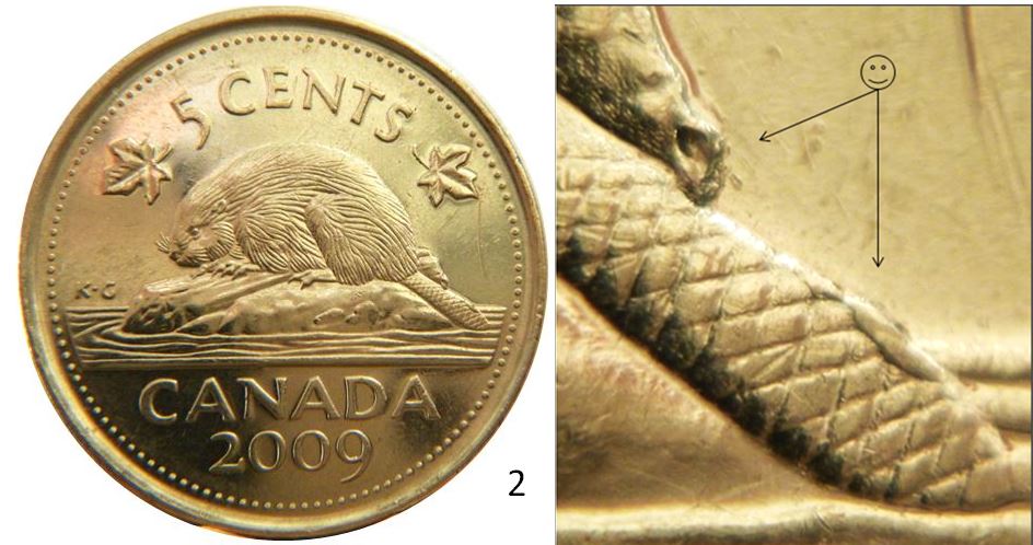 5 Cents 2009-Accumulation sur la queue et derrière la buche-1.JPG