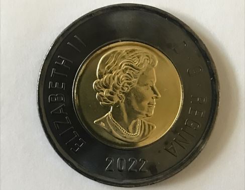 2.2022.cheveux.avers.JPG