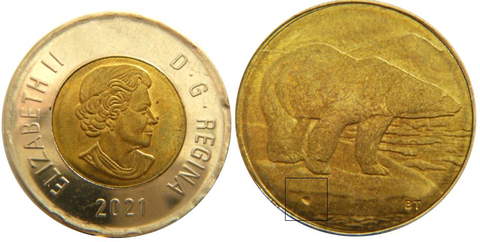 2 Dollars 2021-Frappe à travers en dessous de l'ours-1.JPG