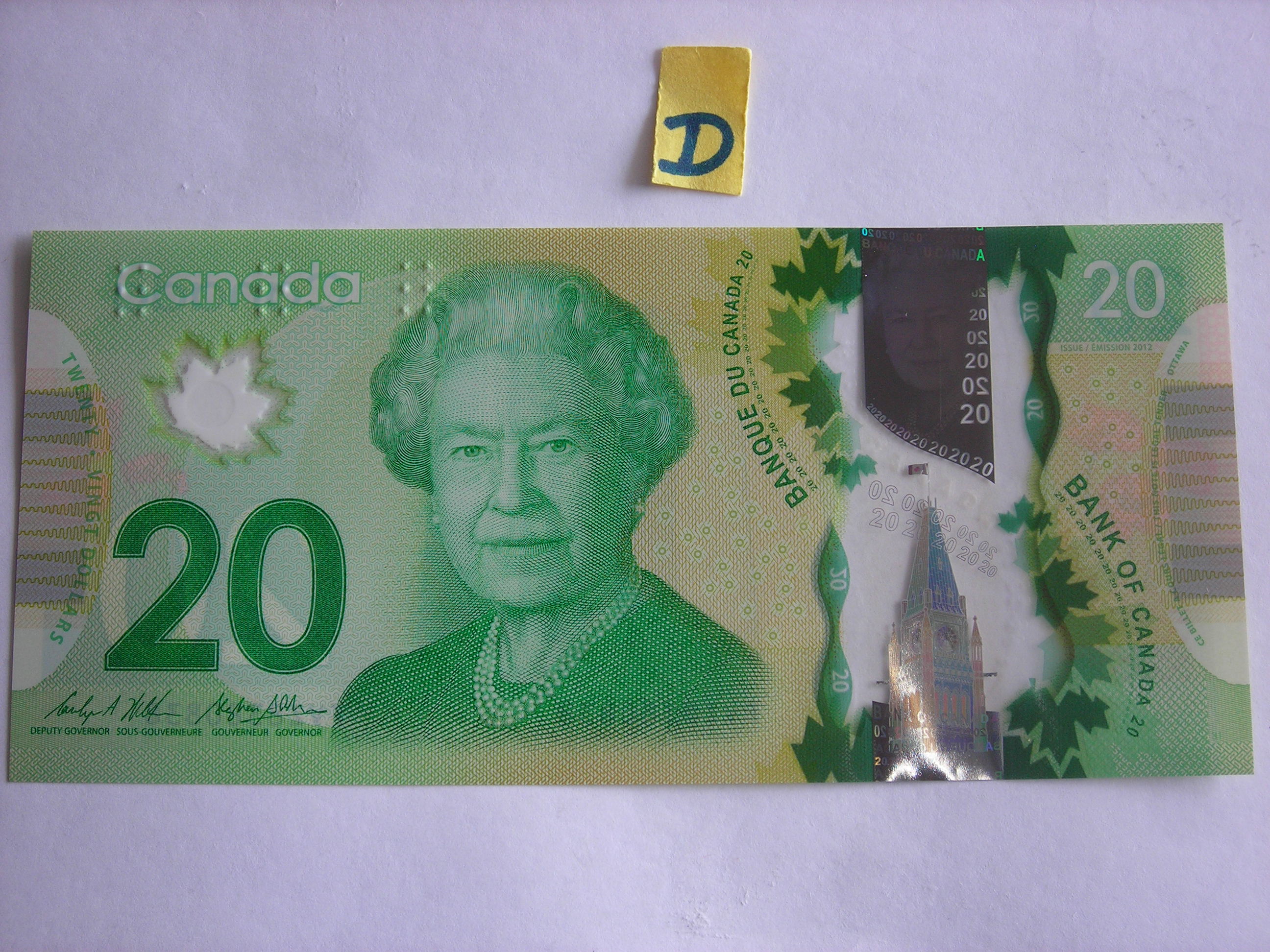 DSCN2520.JPG