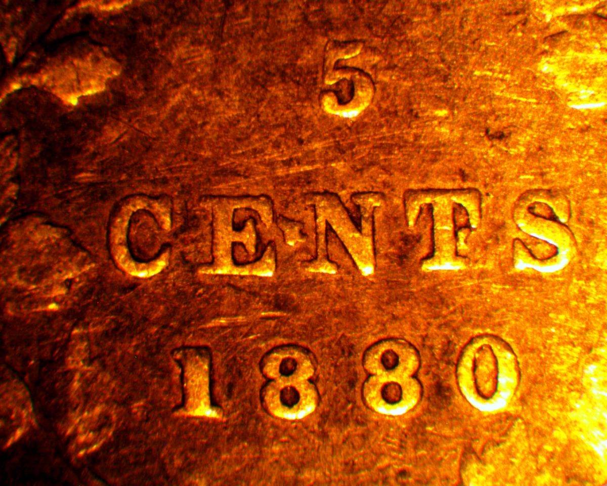 1880h-ccfopt.jpg