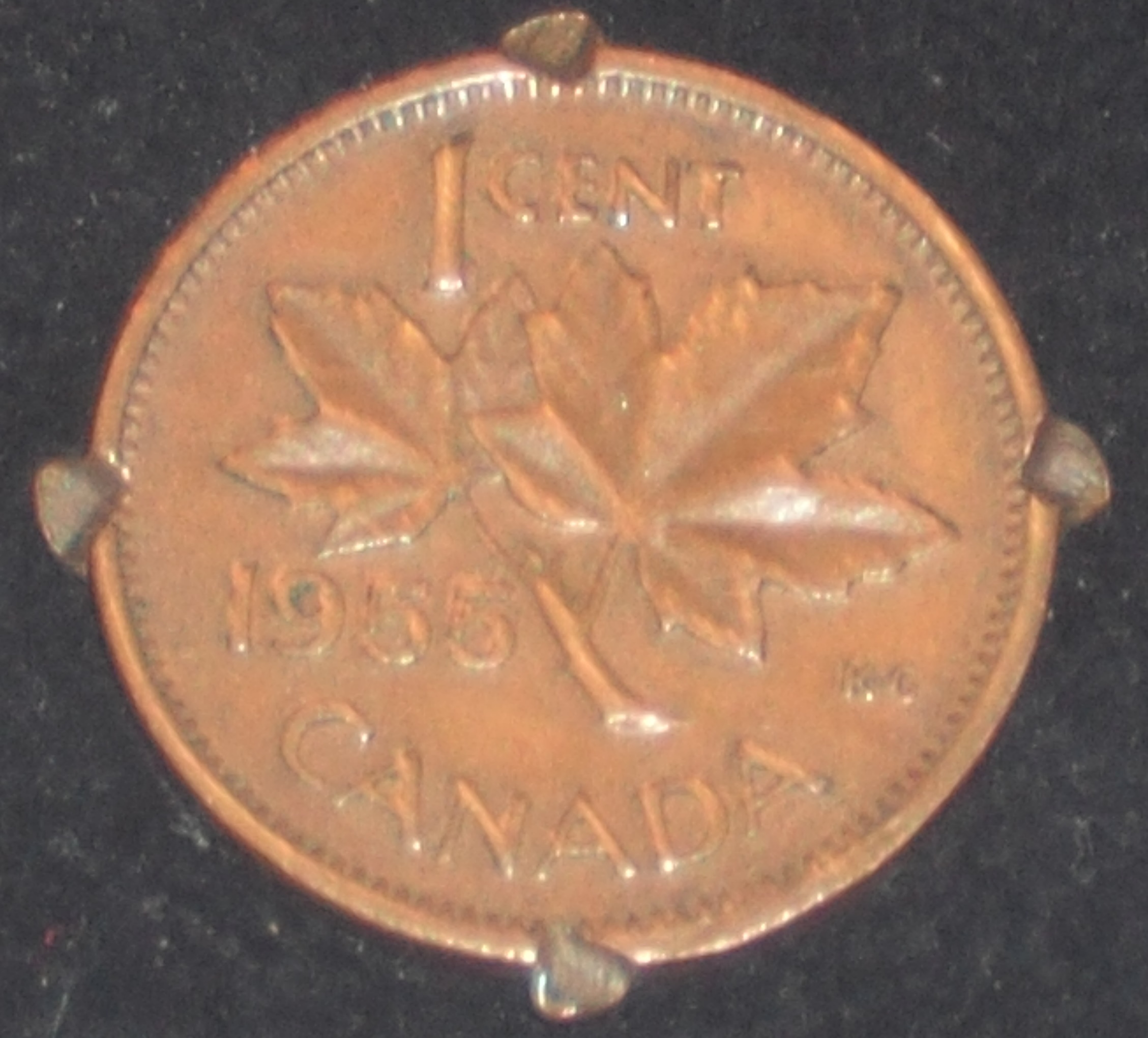 DSCF0238.JPG