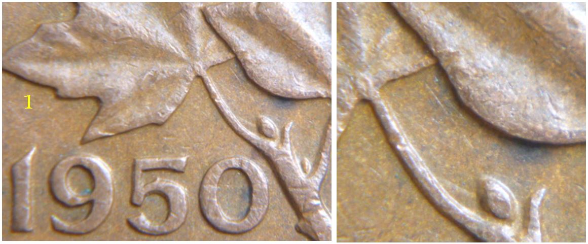 1 Cent 1950-Coin entrechoqué sous les feuilles -1.JPG